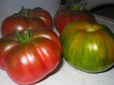 heirloom-tomatoes.jpg